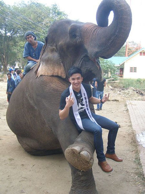 Quý ông Mister International 2011 tinh nghịch với voi